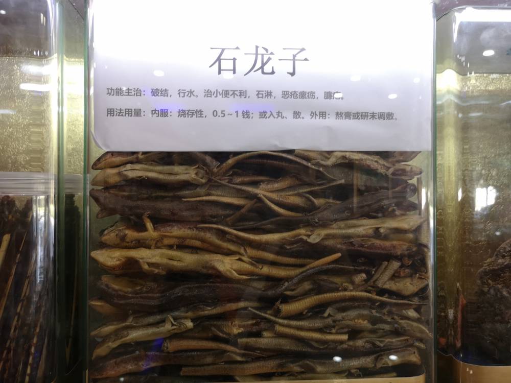 中药材石龙子是什么石龙子哪里有卖价格多少