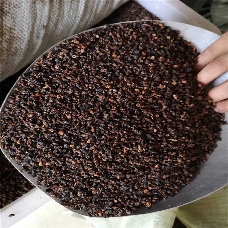 野生沙棘果批发沙棘果价格沙棘果哪里购买