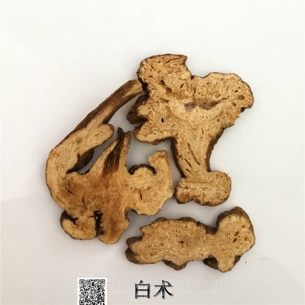 中藥材白朮功效與作用炒白朮於術冬術浙術種術山薊山芥天薊