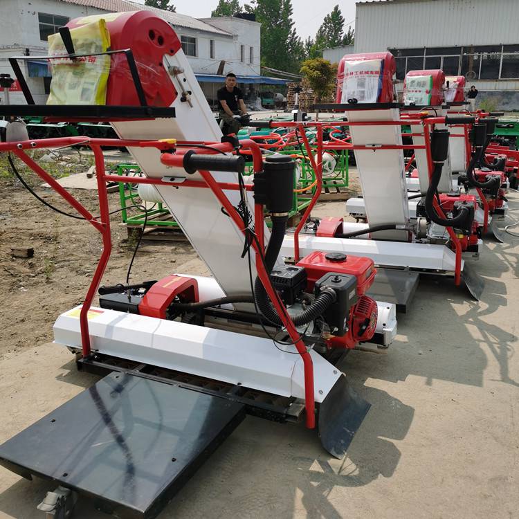 【自走式稻谷粮食装袋机批发价】图片