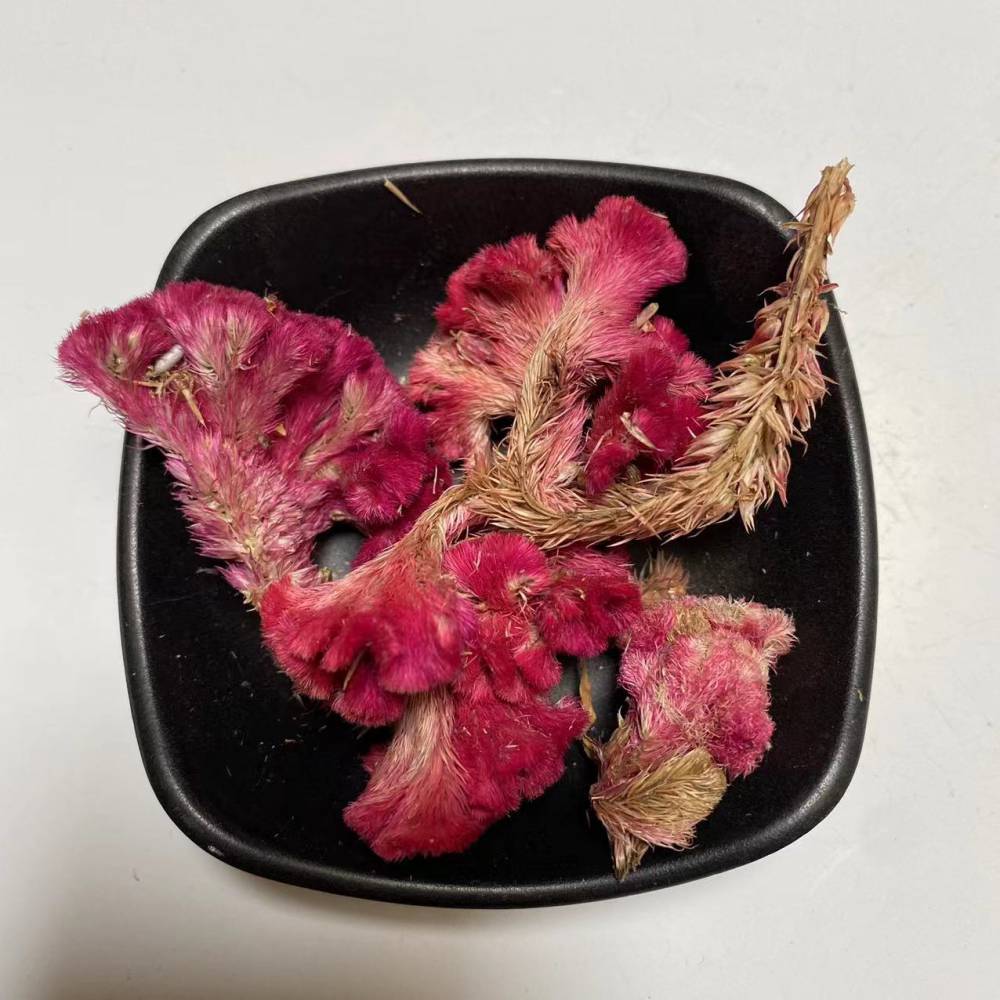 出售中药材红鸡冠花鸡冠花厂家销售