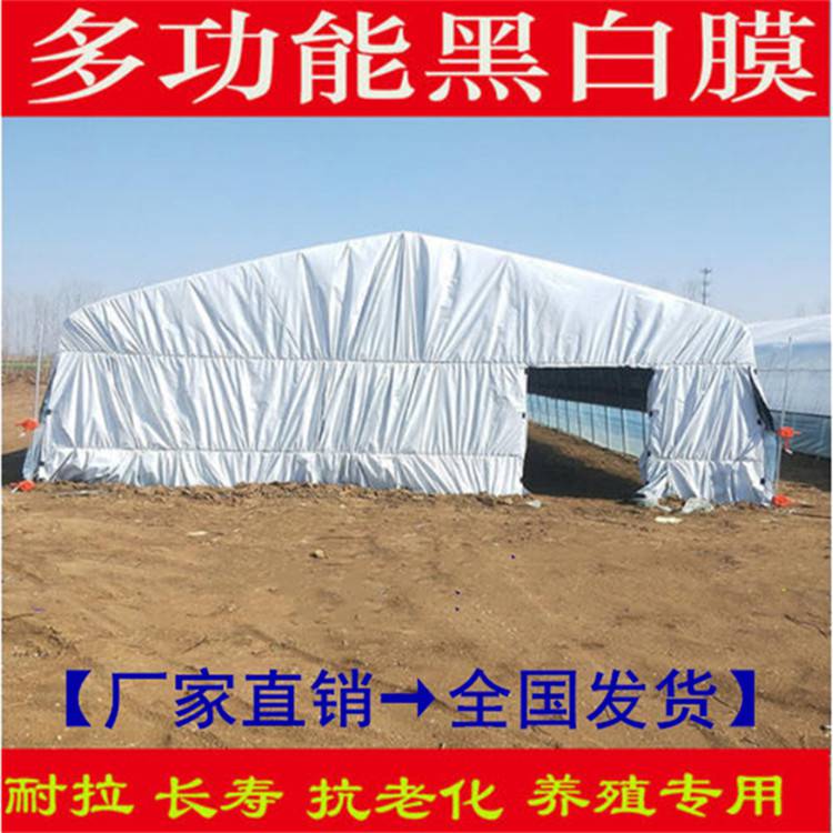 养殖大棚薄膜生产厂家【鸡鸭鹅牛羊水产用膜】