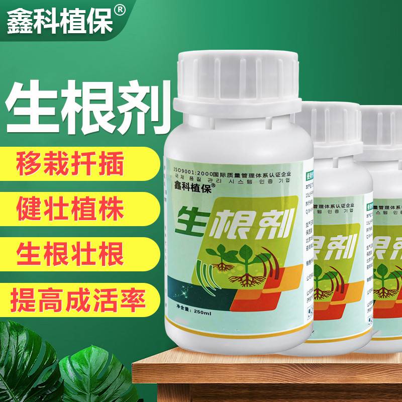 西瓜重茬种植技术种西瓜可以重茬吗西瓜几年可以重茬种植治西瓜枯萎病