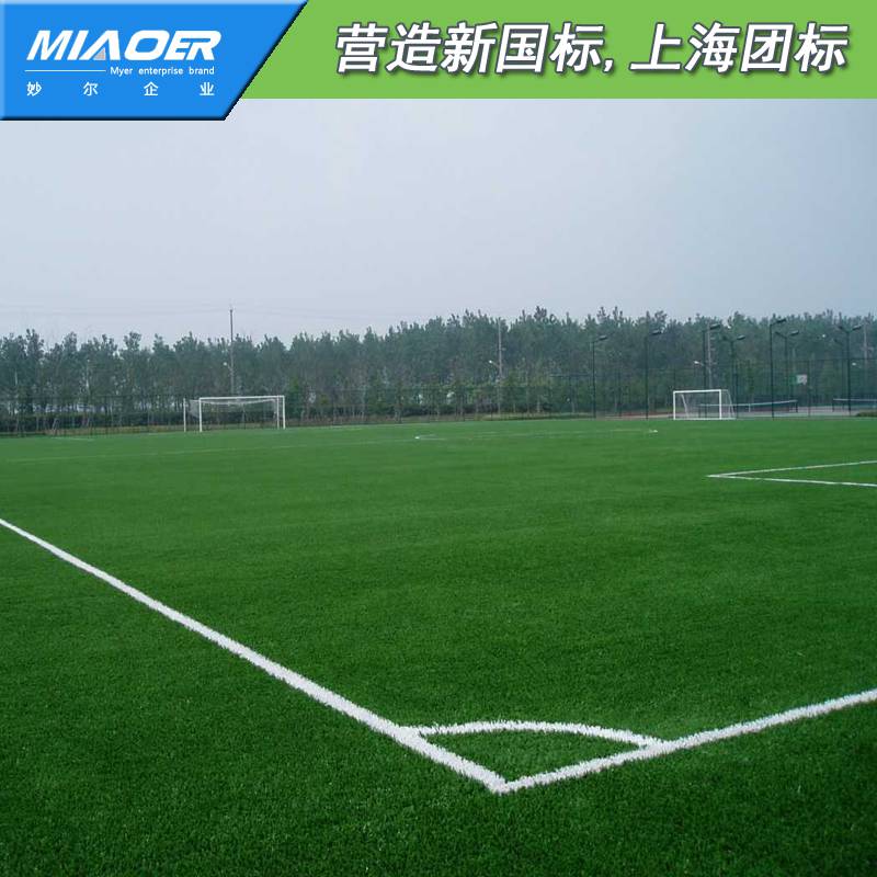 体育场人工草皮上海翻新改造
