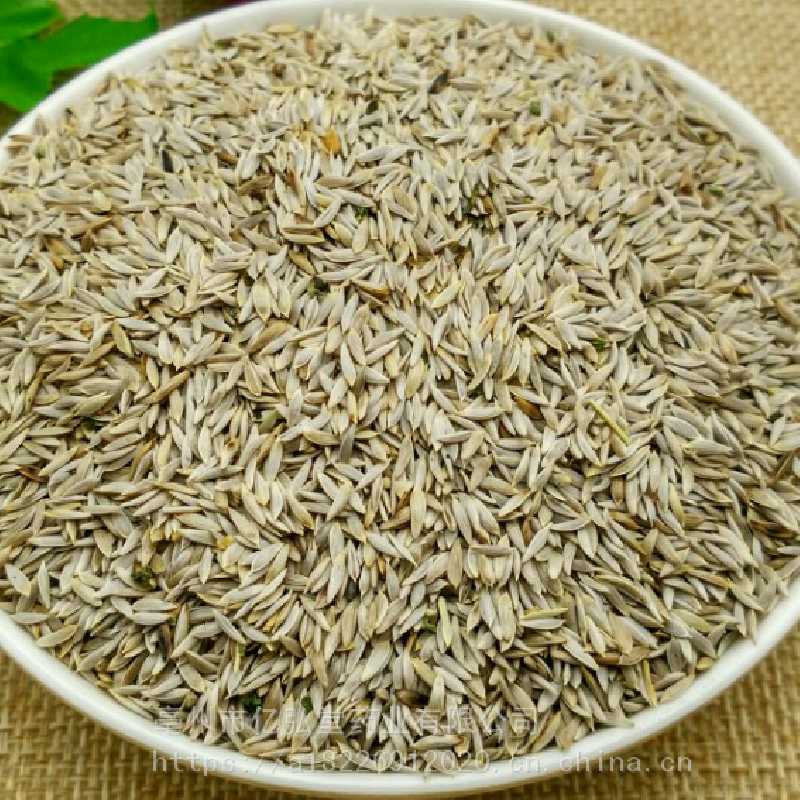 中药材莴苣子功效作用苣蕂子白苣子生菜子白巨胜子白苣胜子