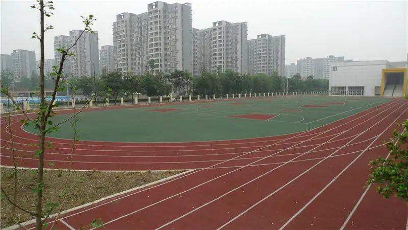 成都全塑型运动场施工