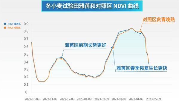 雅苒示范区和对照区归一化植被指数曲线图