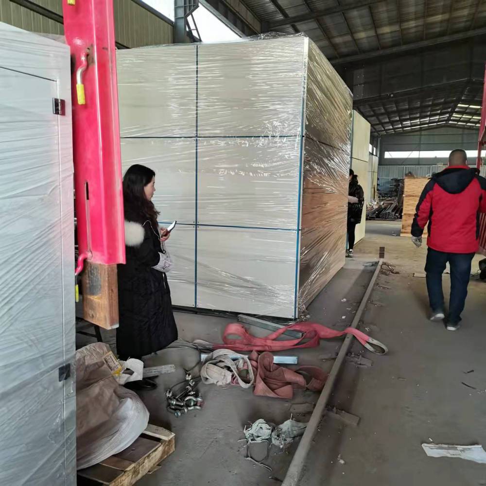 生物质锅炉脱硝装置厂家如何解决脱硝剂结块