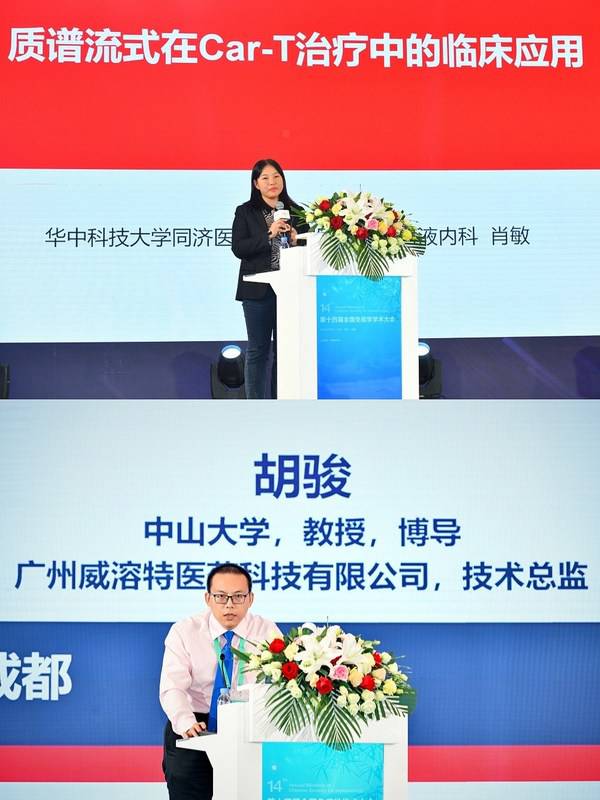 肖敏教授（上）、胡骏教授发言