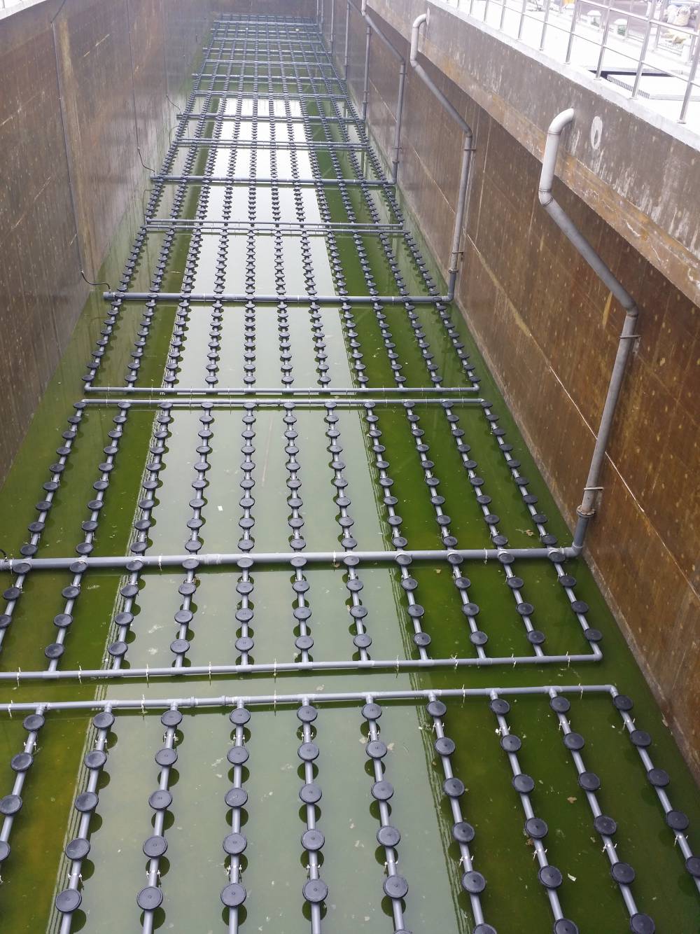 供应德国进口橡胶膜片式微孔盘式曝气器