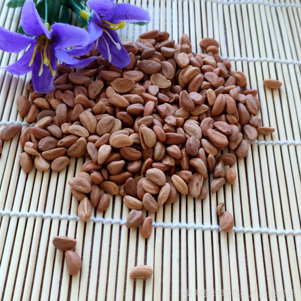 山楂籽 水洗山楂籽 汽车坐垫枕头填充物用山楂籽