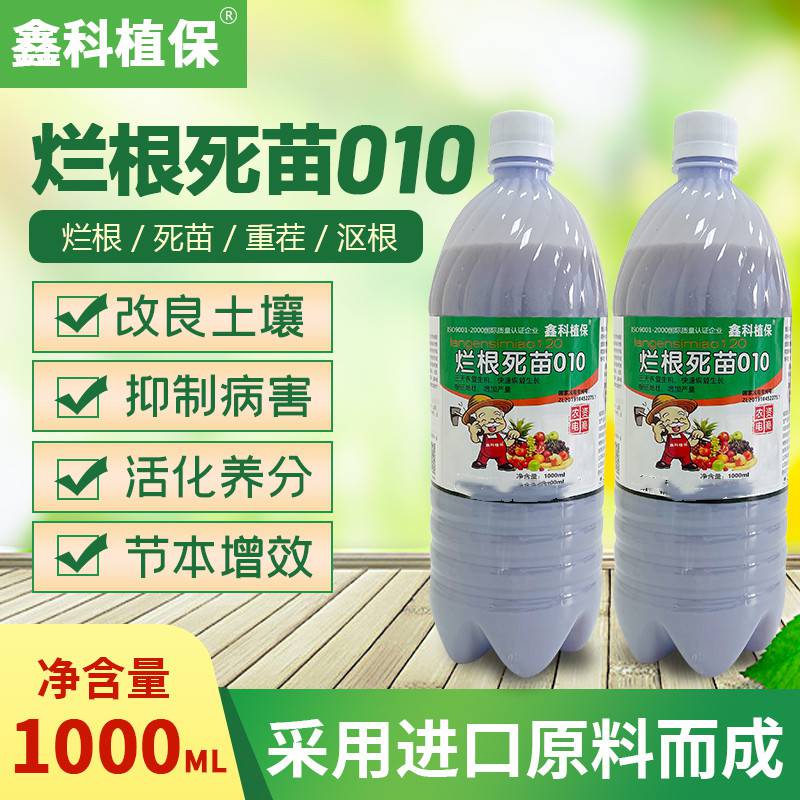 西瓜重茬种植技术种西瓜可以重茬吗西瓜几年可以重茬种植治西瓜枯萎病