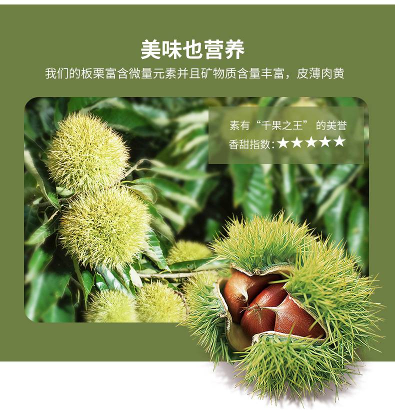 迁西板栗糖炒栗子迁西中粒7585粒价格多少钱板栗价格