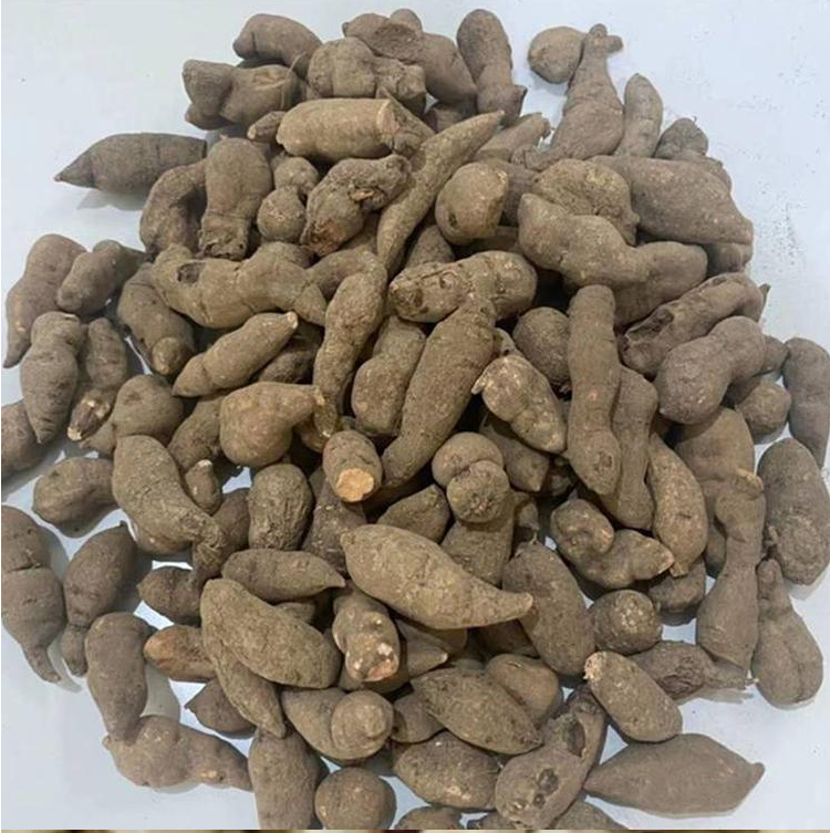 蛇附子价格石猴子多少钱石老鼠一公斤批发