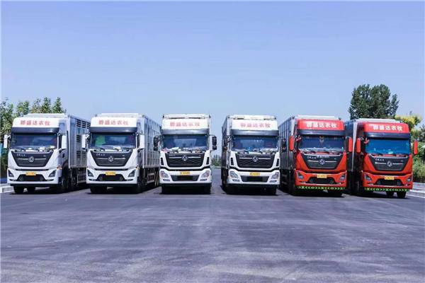 9米6畜禽运输车活牛运输车猪鲜活禽运输车