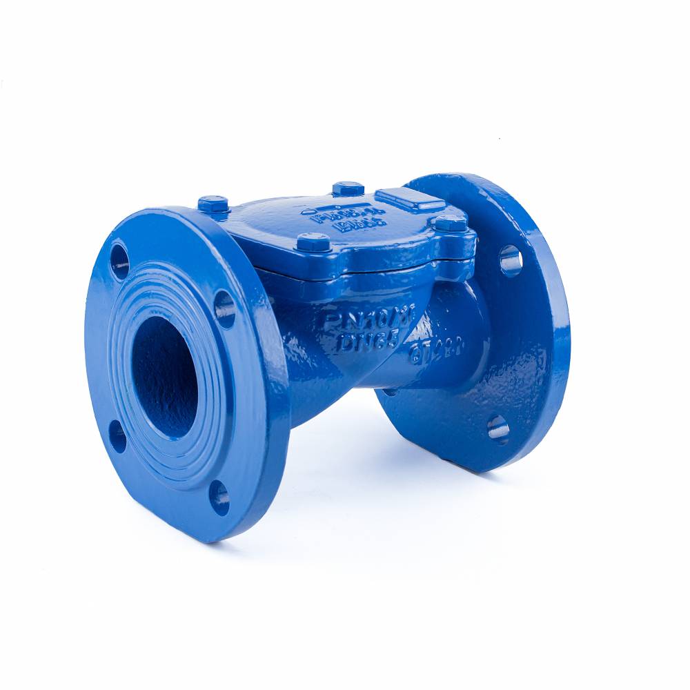 升降式止回阀h41h16c上海法登阀门