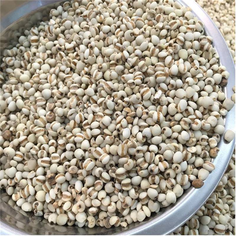 六谷米珠珠米药玉米水玉米哪里能买到薏米薏苡仁价格多少钱