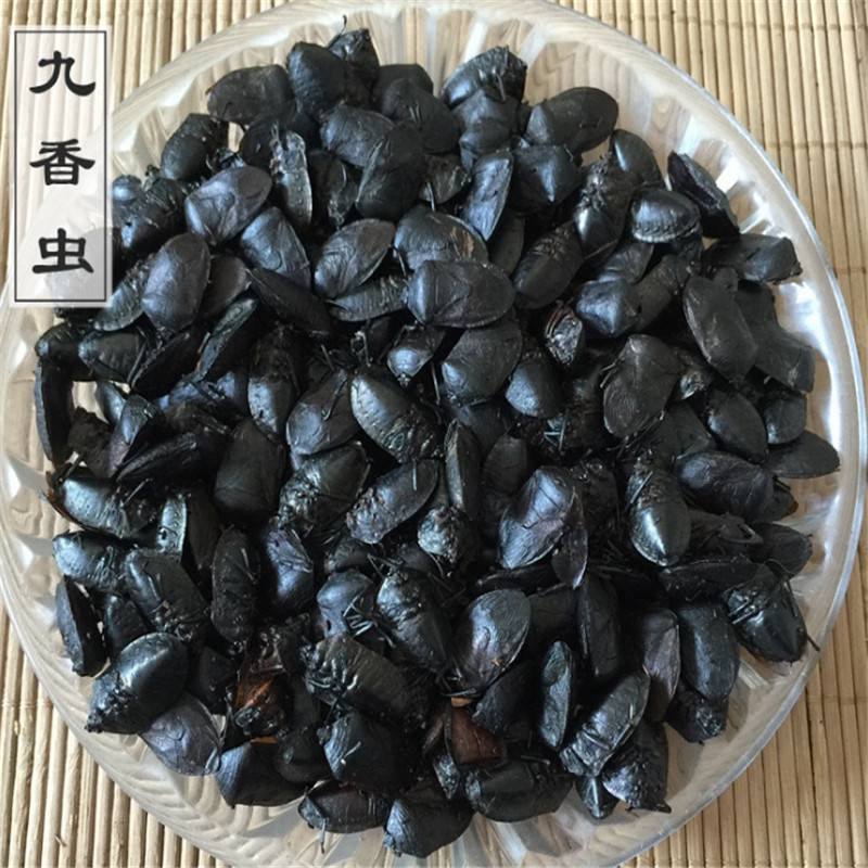 九香虫价格中药九香虫功效和作用