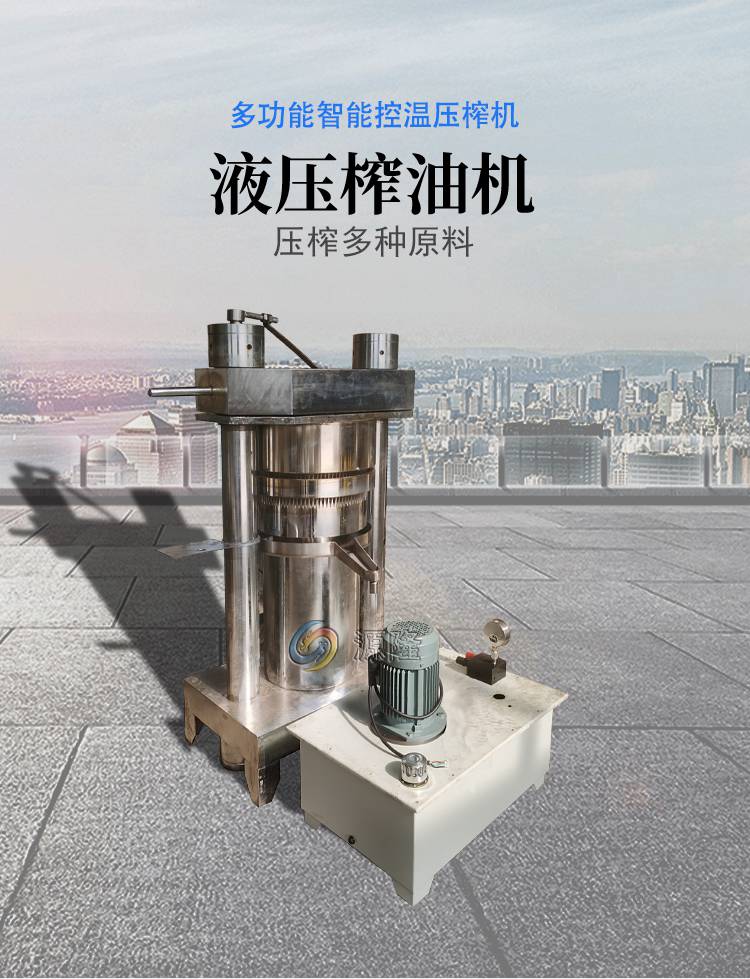 立式液壓榨油機小型橄欖油冷榨機芝麻韓式香油機