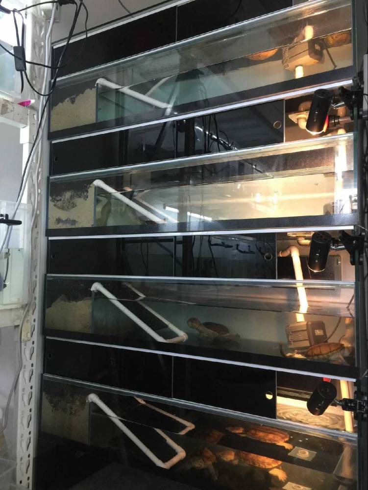 东莞松山湖玻璃鱼缸定制,东莞海鲜火锅店养殖缸