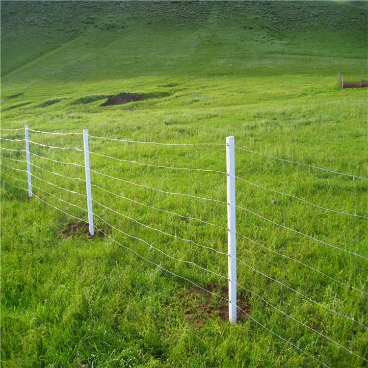 佳星草原网立杆刺绳复合立柱