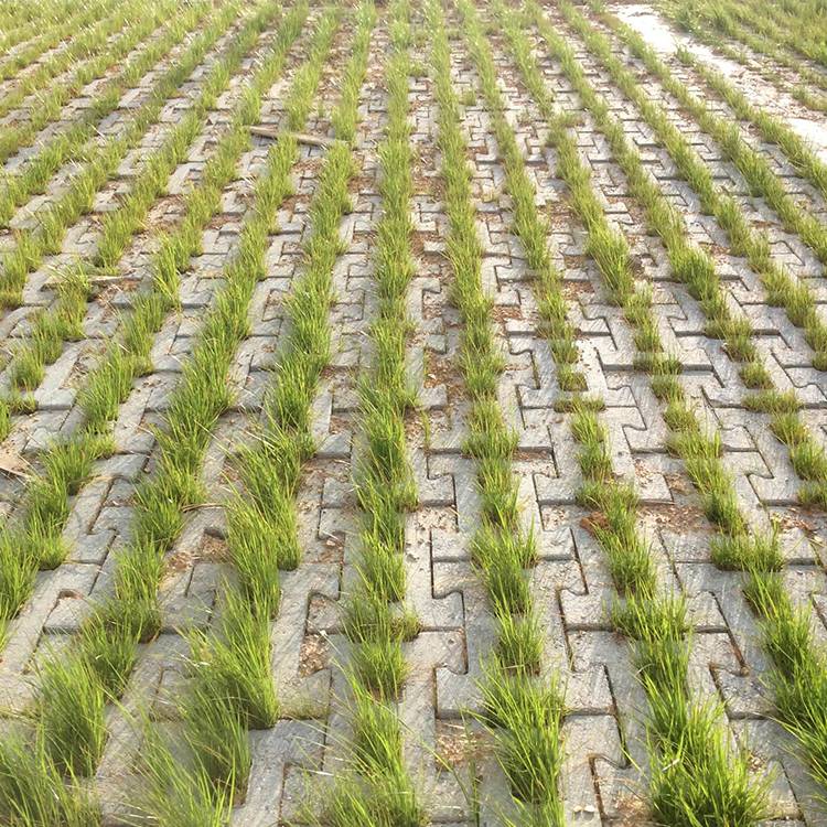 青岛水泥厂河道生态护坡砖自锁式护坡生态护坡砖