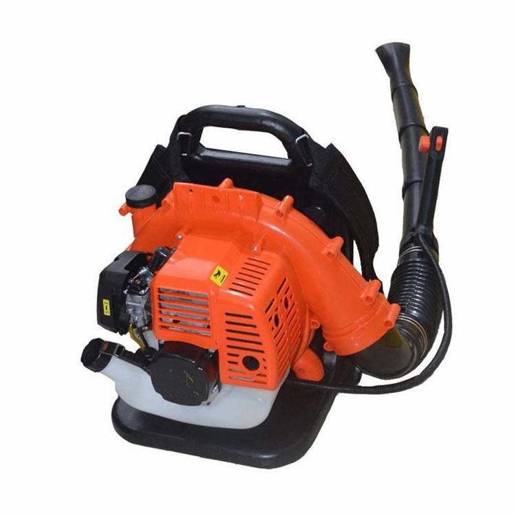 程欢森林消防灭火救援装备背负式风力灭火机四冲程汽油大棚吹雪机