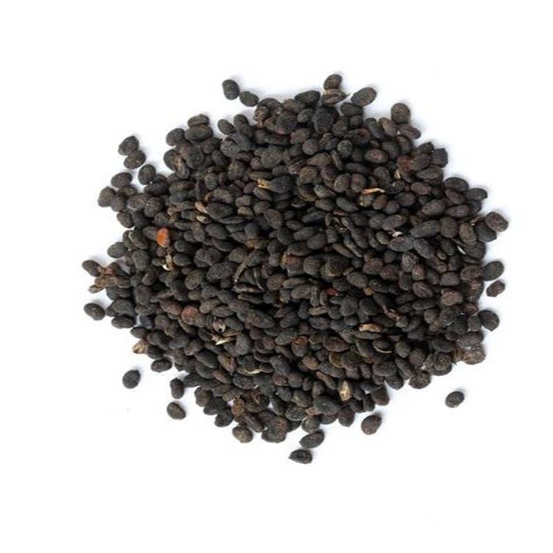 破故纸破故纸批发价格破故纸供应