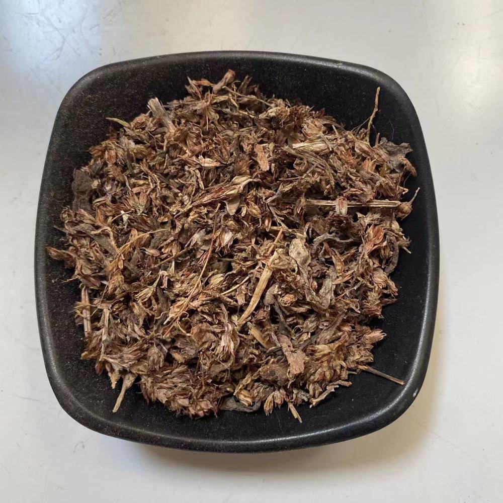 供应中药材正宗瓦松干品新货药材销售