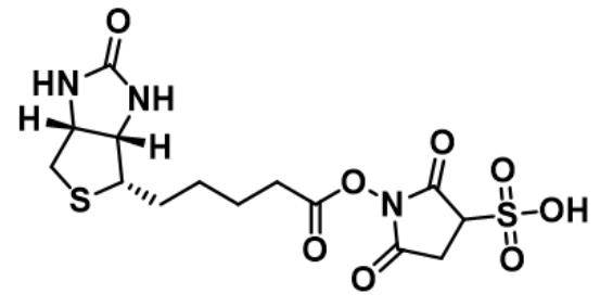 CAS:190598-55-1Sulfo-NHS-Bioti(图1)