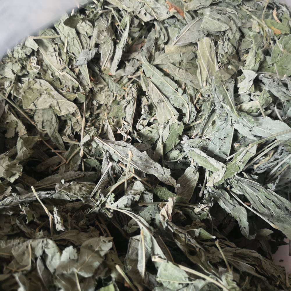 木豆叶价格多少一公斤木豆叶批发图片