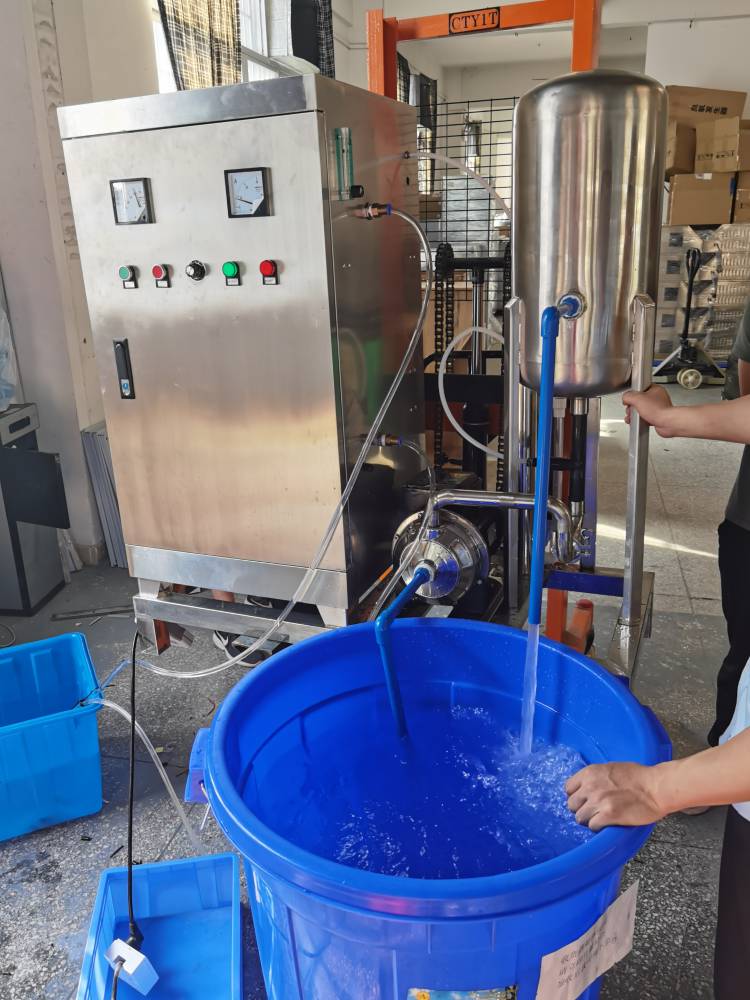 30克高浓度臭氧水机食品厂用臭氧水一体机臭氧水发生器
