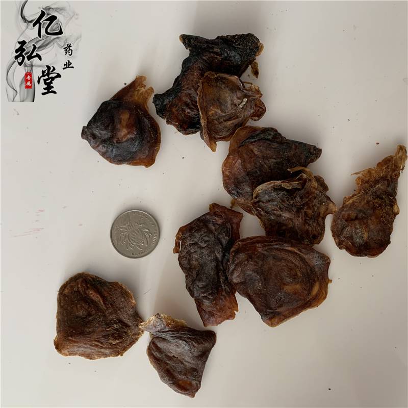 猫衣猫胞衣猫胞厂家批发供不应求