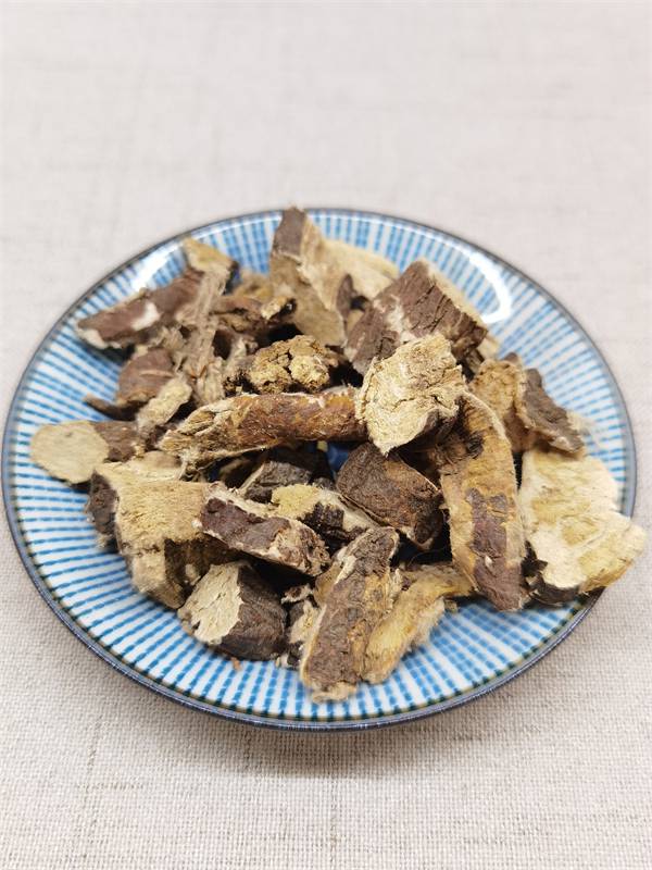 绵大戟种子种植绵大戟别名叫什么绵大戟的功效与作用绵大戟收购多少钱