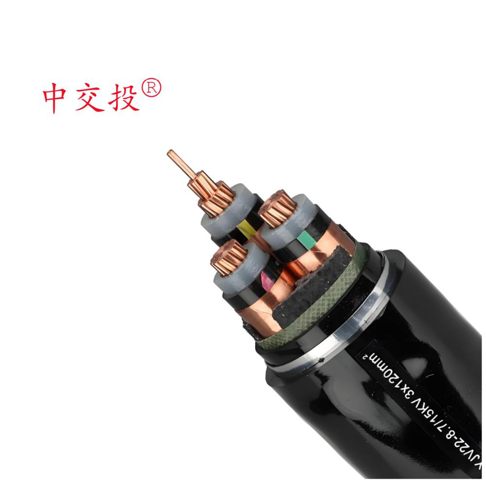 rvv±׼ʲô˼_Ͷ