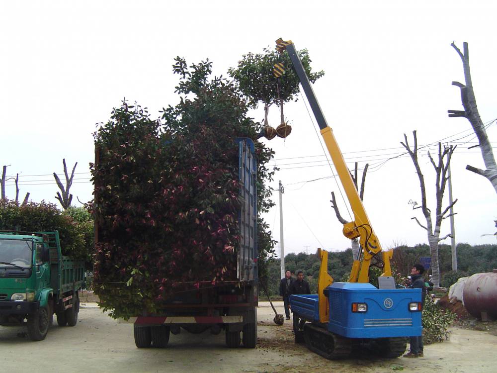 供应履带式农林吊运机苗圃建筑吊车吊土球树苗机吊树机图片