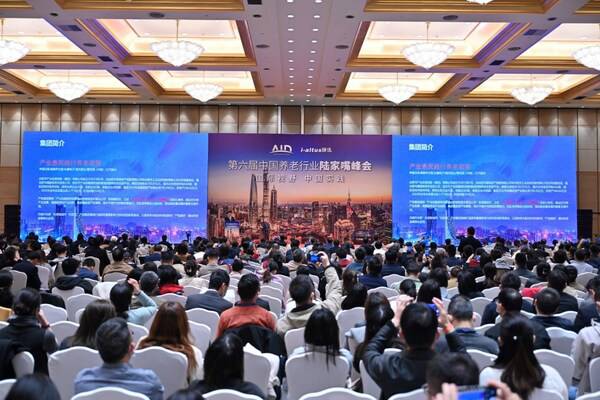 第六届中国养老行业陆家嘴峰会 第六届中国养老行业陆家嘴峰会