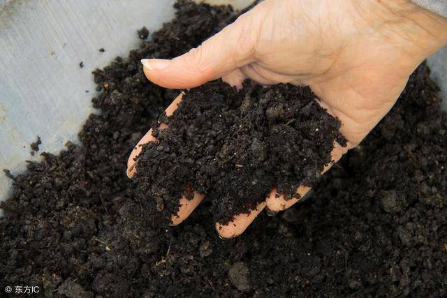 养猪场猪粪尿全密封自卸式粪污清运车