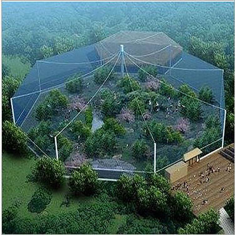 宁波巨型百鸟园笼舍网百鸟园笼舍网研究发明百鸟园笼舍网供应商