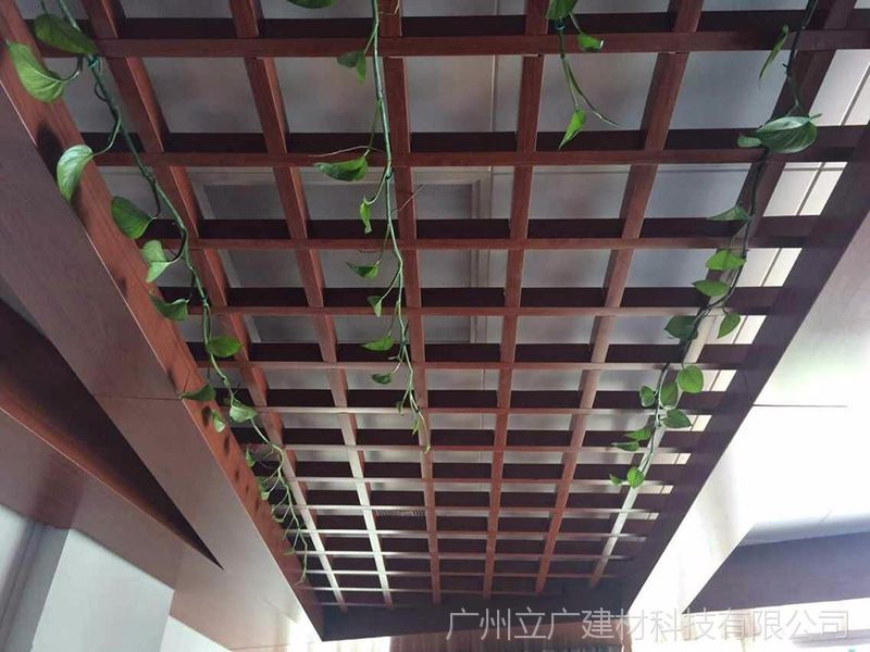 8888219850_836236153