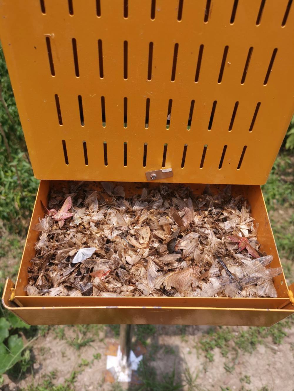 甘孜色达太阳能灭蚊灯厂家-，各类户外灯具定制批发厂家