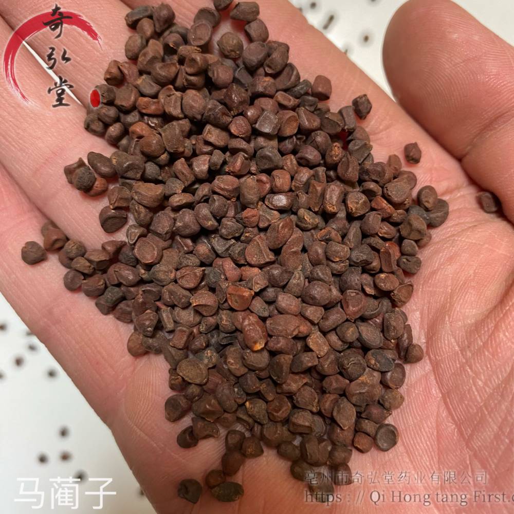 中药材马蔺子马蔺子药材实物实拍