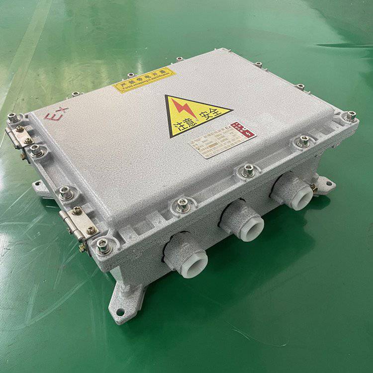 定制防爆配电箱控制柜plc触摸屏照明动力接线箱配电柜仪表检修箱