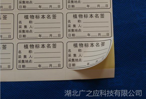 不干胶植物标本名签5*3cm/植物定名签,台纸标签