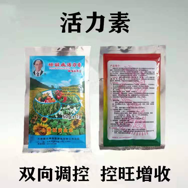 杨馥成活力素哪里有卖有什么作用