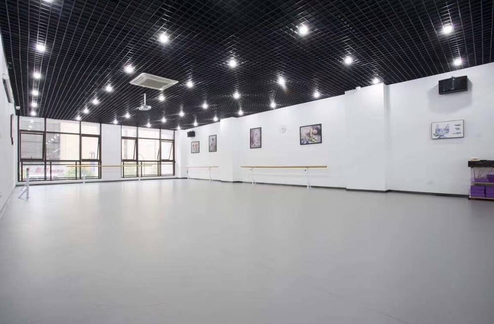 天津商用舞蹈房pvc塑胶幼儿园pvc地胶垫生产厂家