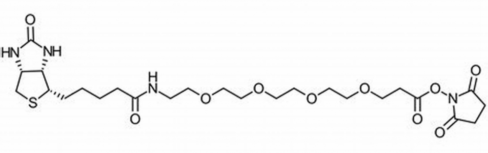 小分子pge衍生物459426