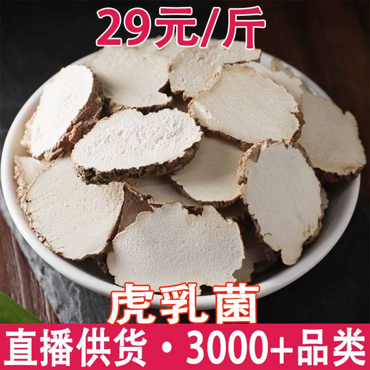 正宗虎乳菌 虎乳菇整个批发 切片渠道分 磨粉代发虎奶灵芝