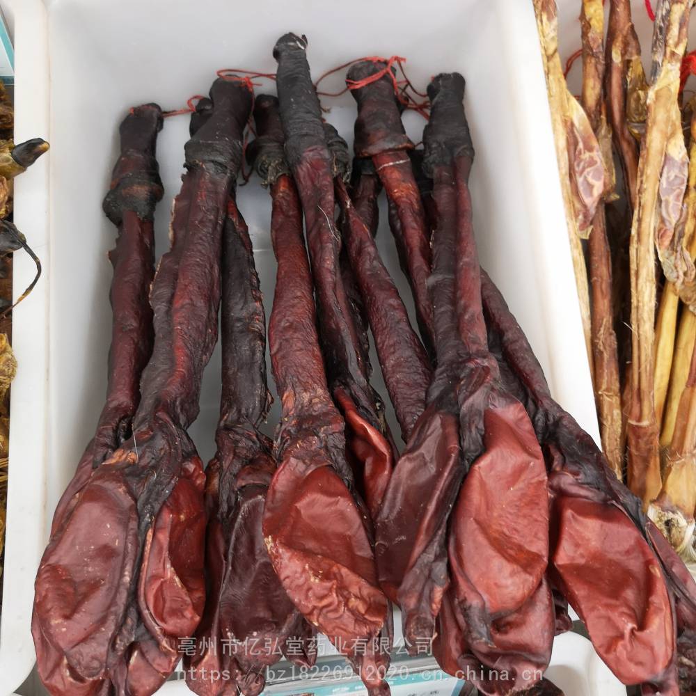 黑驴鞭哪里有买的野驴鞭价格多少一条图片