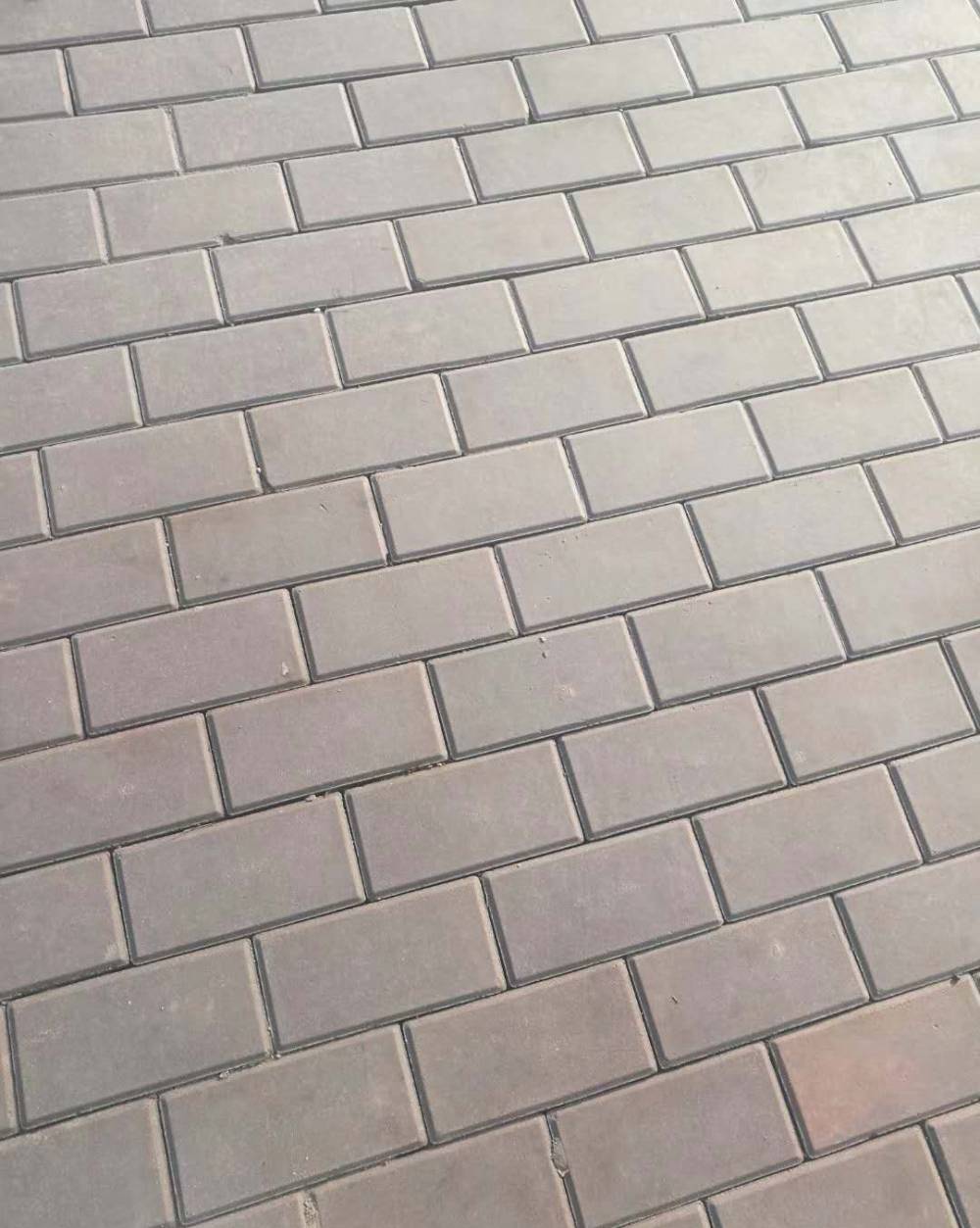 批量供应抗冻陶土烧结砖诚鑫路面彩砖湖北耐磨陶土烧结砖